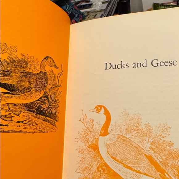 Game and Fish Cookbook - Picture 8 of 12